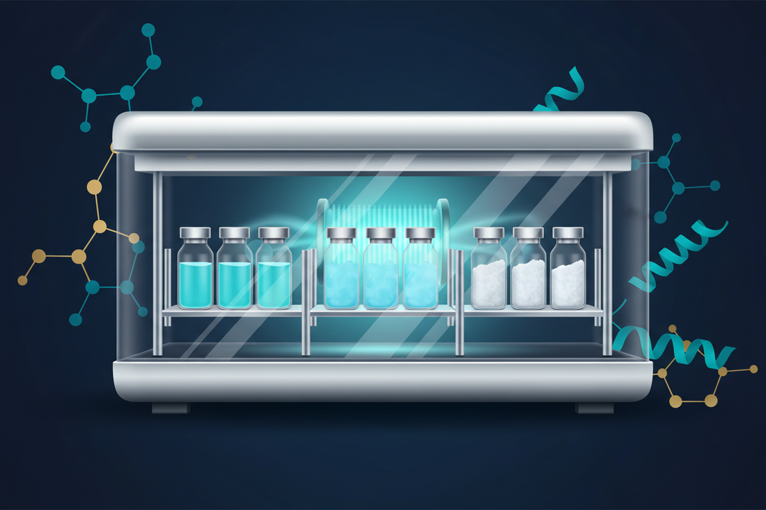 Lyophilization: How It Works